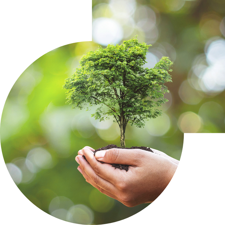 关怀人类、文化、环境与社会